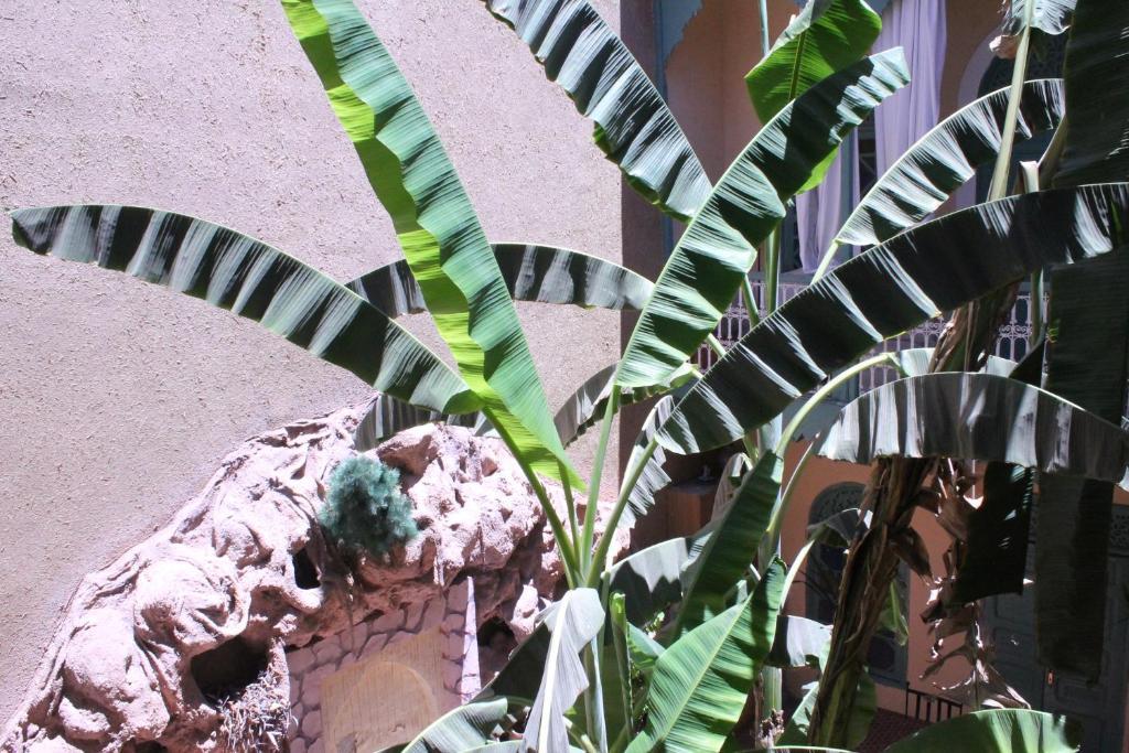 Riad Dar Mchicha Μαρακές Εξωτερικό φωτογραφία